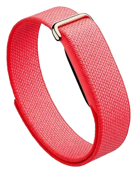 Google Fitbit Air