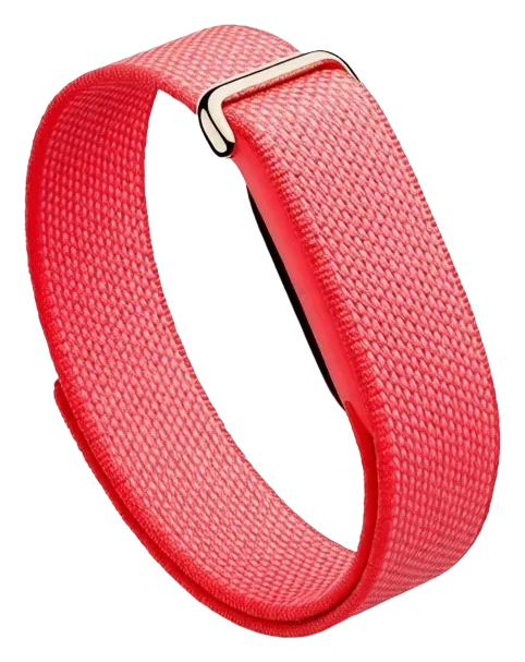 Google Fitbit Air