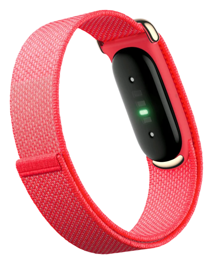 Google Fitbit Air